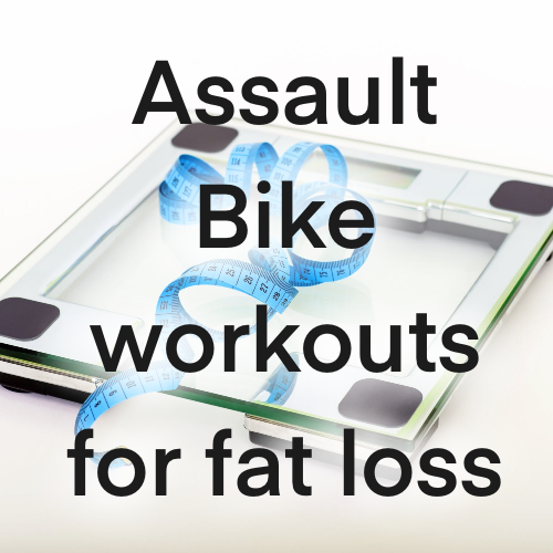 assault bike fat burning