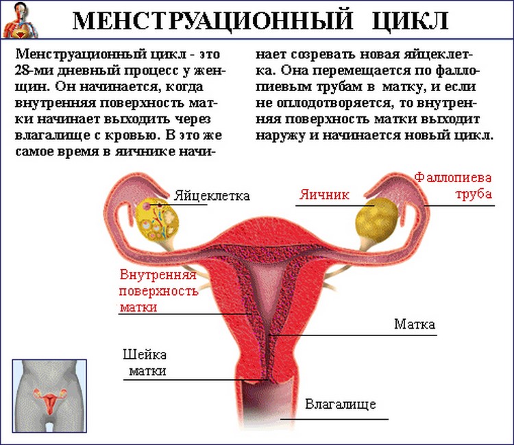 kaalulanguse menstruatsiooni muutused