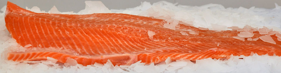 salmon sashimi kaalulangus kaalulangus 58-s