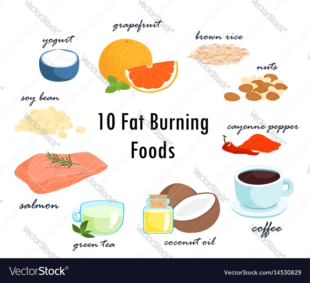 burn fat foods jalgi kaalulangus sopradega